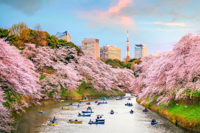 Most beautiful places in japan