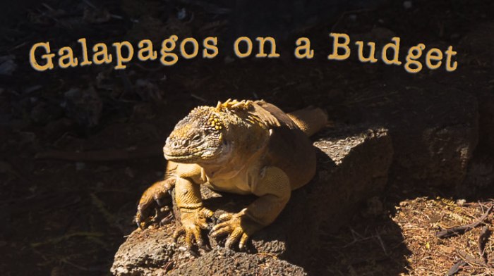 Galapagos to increase tourist fees