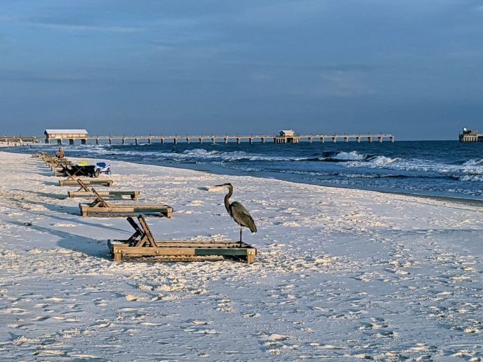 Gulf Shores Alabama US Beach Bliss
