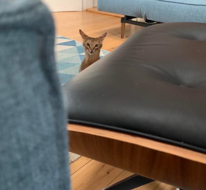 Help identifying plane/scale : r/modelplanes How to check plane model