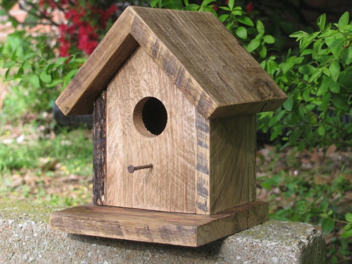 Birdboxes for Humans Norway A Deep Dive