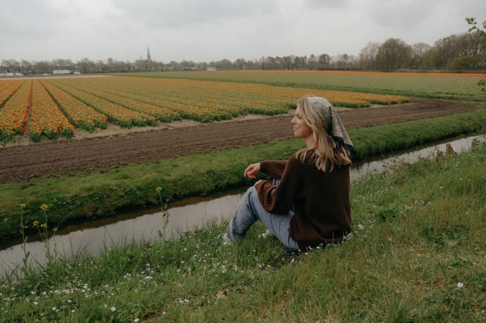How to See the Tulips in the Netherlands A Guide