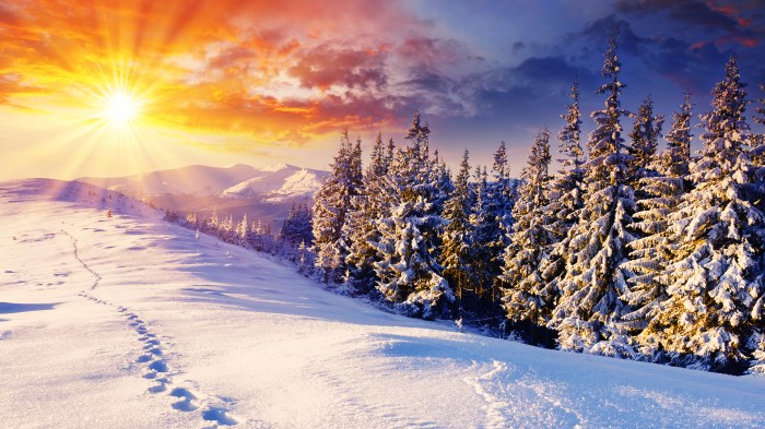 Trip ideas winter vacations paris winter travel