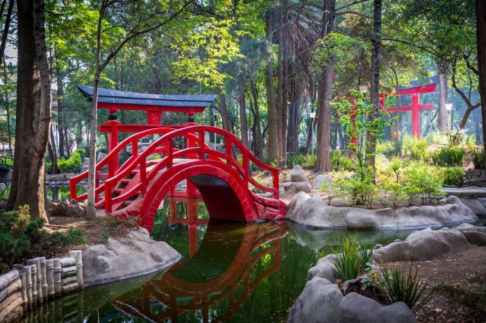 Best Things to Do in Mexico City Your Ultimate Guide