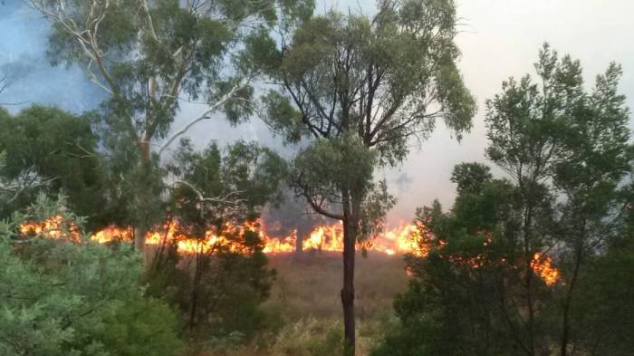 Canberra state of emergency bushfires