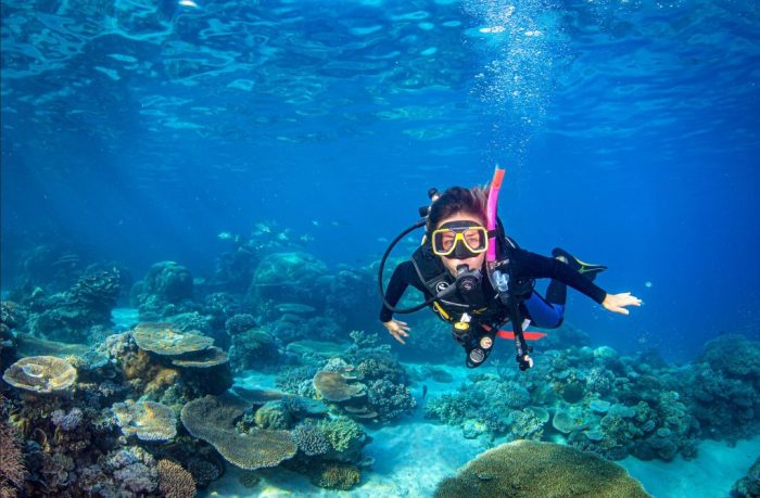 Belize vs great barrier reef scuba diving
