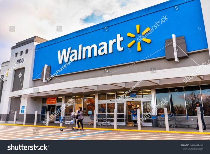 Walmart gonex travel duffel bag sale