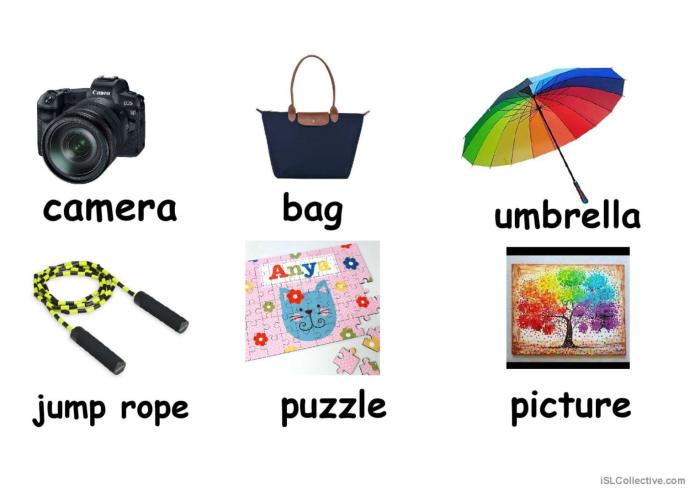 Singapore Travel Essentials Things to Know