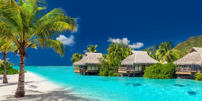 Fiji Trip Essentials Things to Know