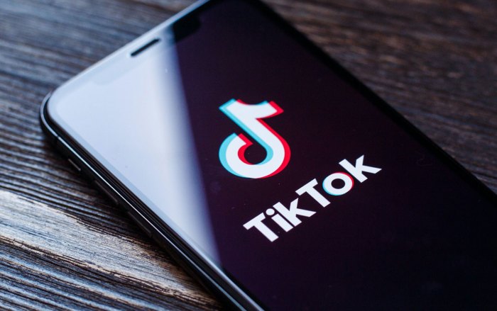 Tiktok luggage travel trip airline stickers