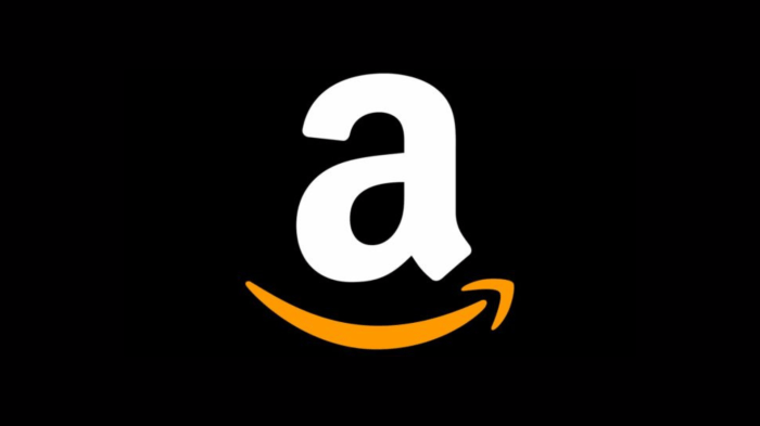 Amazon tiny house prefab home with front deck