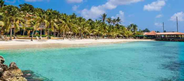 Bonaire Caribbean Coral Planting A Reef Restoration Effort