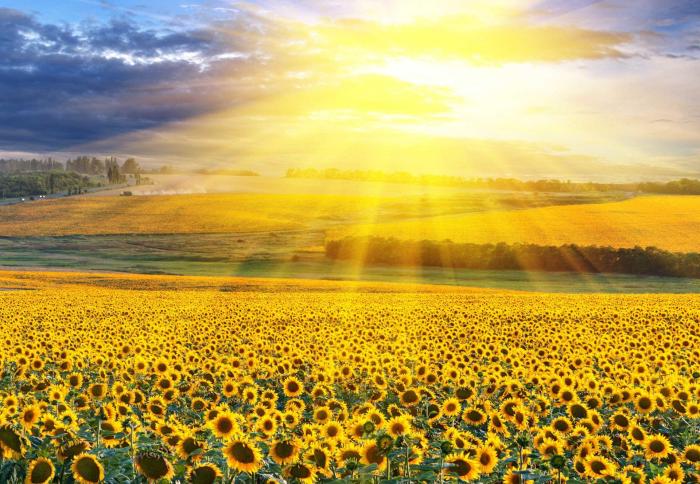 Trip ideas summer vacations cool destinations to avoid summer