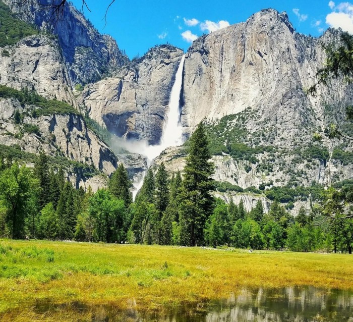 Yosemite national park lottery north pines campground