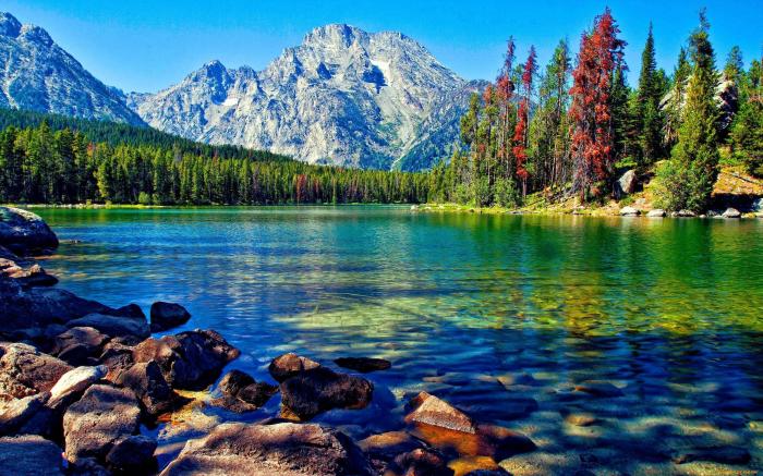 THE 10 BEST Lake District Bodies of Water (with Photos) - Tripadvisor Lake tititaca peru bolivia inca