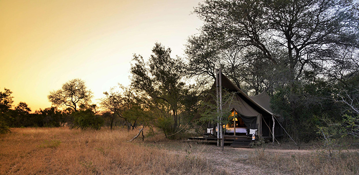 Masiya camp kruger national park