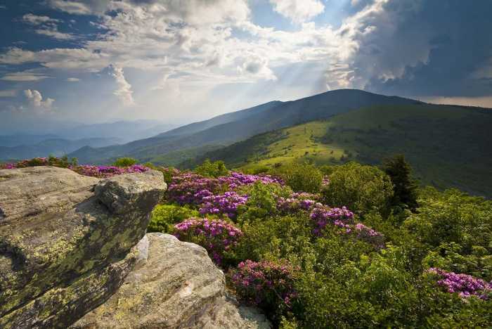 Trip ideas backpacking trips americas best mountain