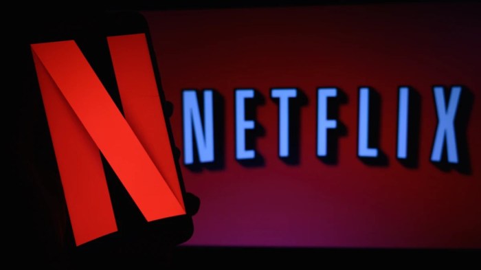 Www.netflix.com: Netflix - Watch TV Shows Online, Watch Movies Online Netflix the irishman locations you can see in real life