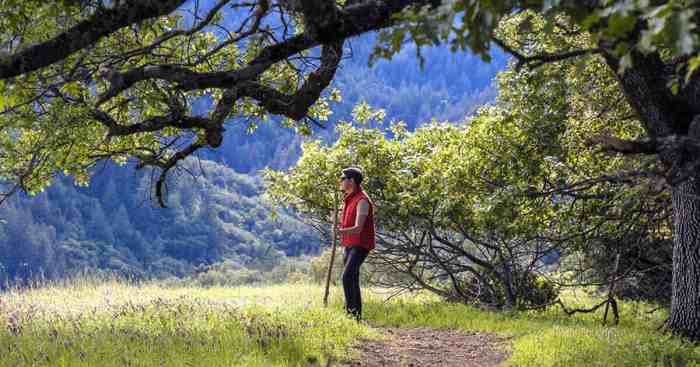 Sonoma Adventures (2025) - All You Need to Know BEFORE You Go (w/ Reviews) Guide to visiting sonoma california