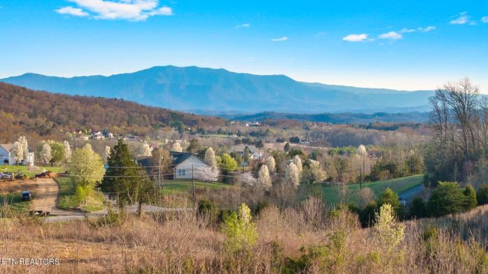 Where to View Ring of Fire Eclipse Your Guide